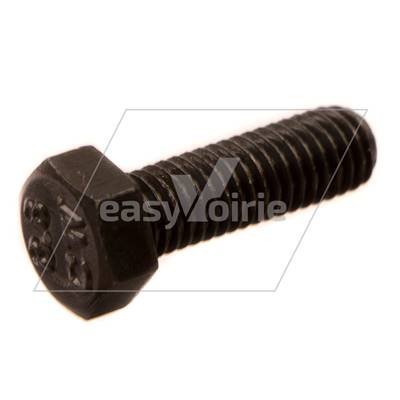 Hex Head Screw JOHNSTON-*