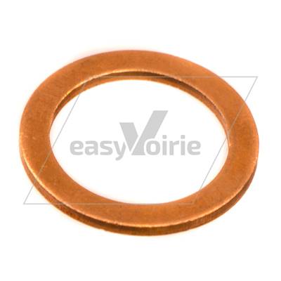 GASKET - SCHMIDT - 42020028F*