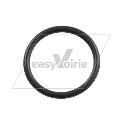 O Ring Seal - Sump Plug- JOHNSTON*