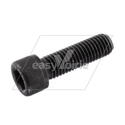 F.SOC CAP SCREW M12 X 40 SCARAB *- 